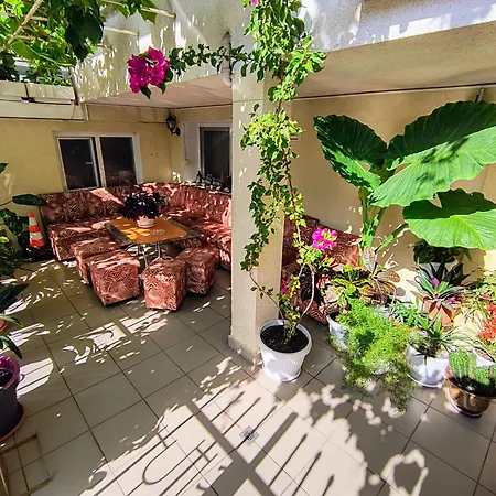 катажина - Katarzyna Daire